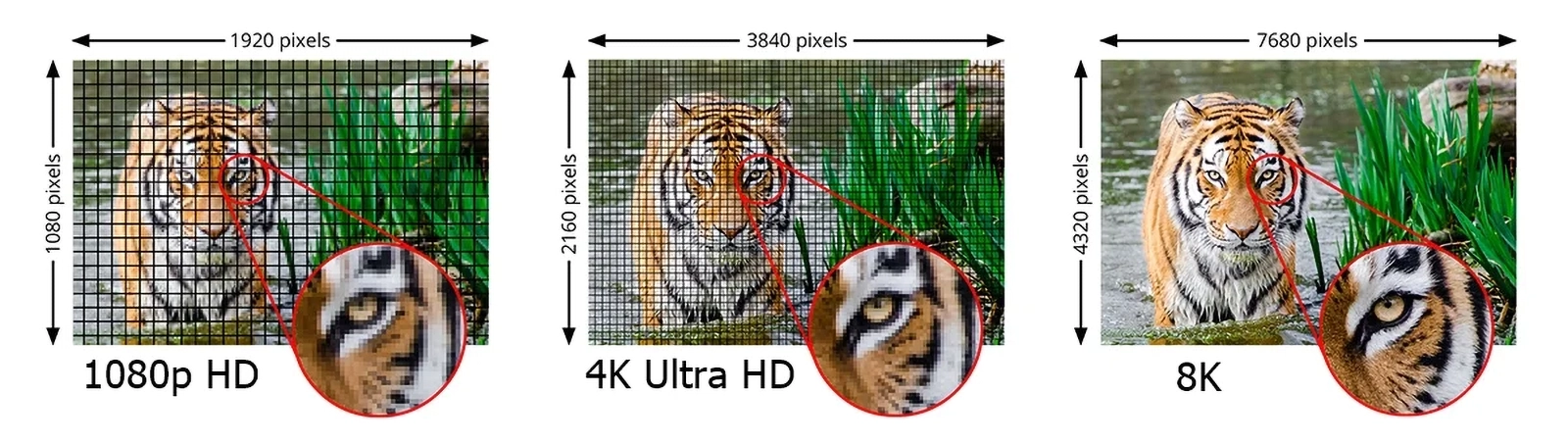 1080vs4Kvs8K-HDMI